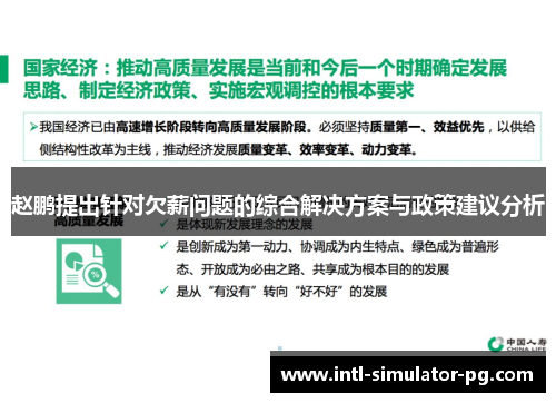 赵鹏提出针对欠薪问题的综合解决方案与政策建议分析